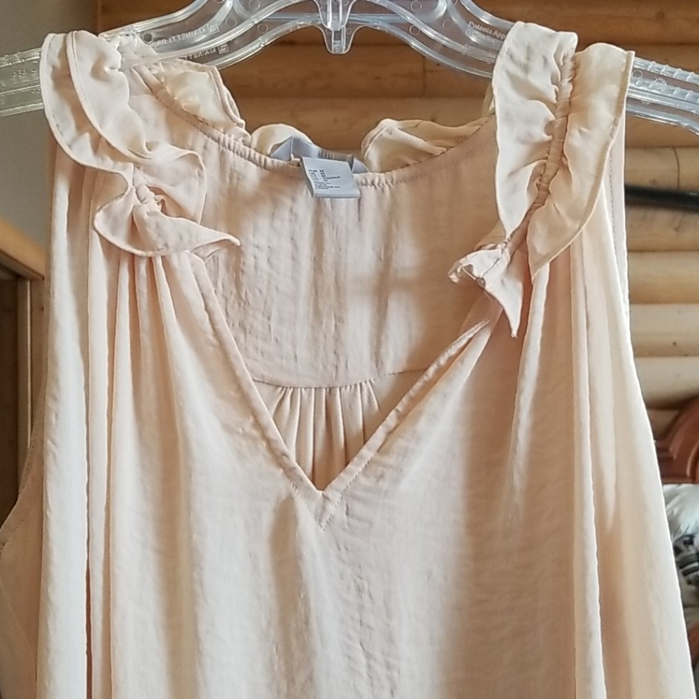 Fabulous and Frilly Blouse